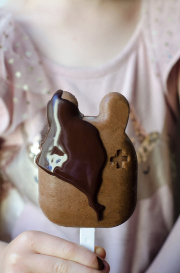 healthy chocolate peanut butter ice cream