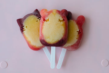 homemade Icy Pole Recipes