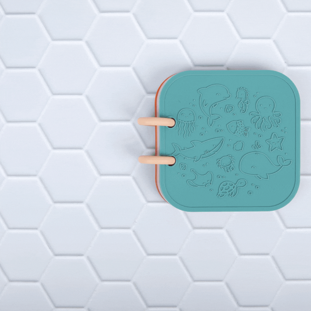 Bath Book - Bundle of 2