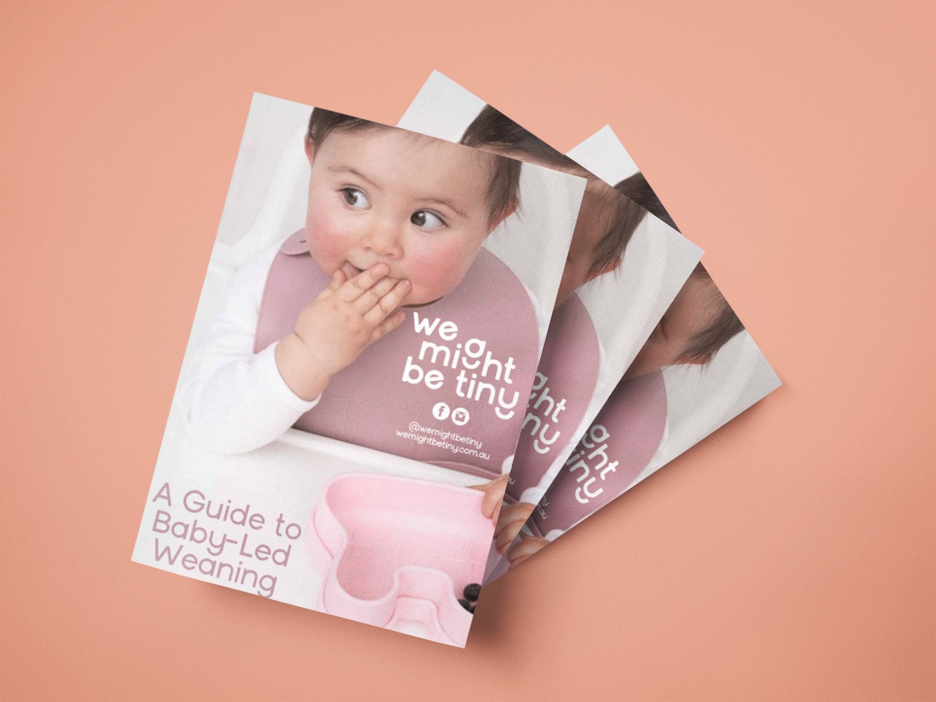 Baby Led Weaning Guide – A5 Booklet
