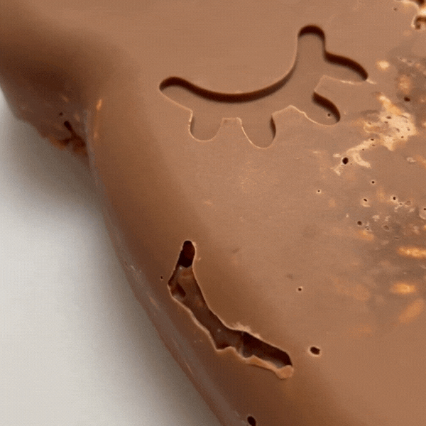 Bear Cake Mould