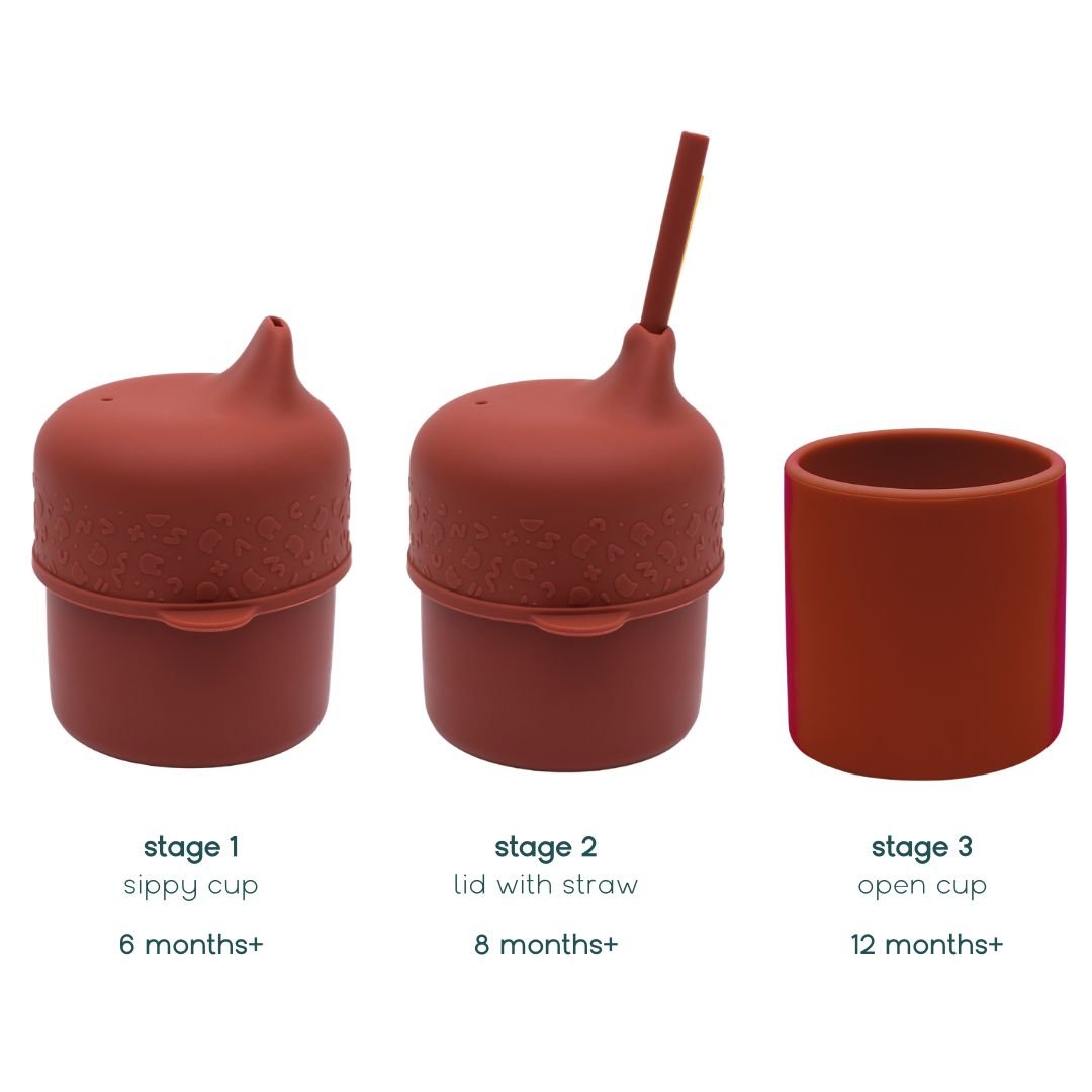 Sippie Cup Set - Rust
